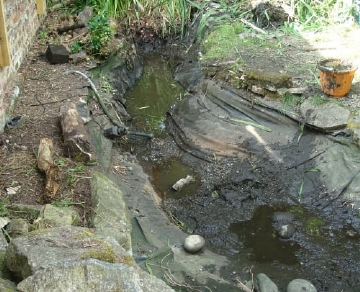 通過(guò)增氧改善魚(yú)塘水質(zhì)及污泥清除